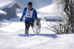 Lenk 2013